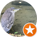 丫璋 profile picture