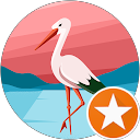 Tsai Fen Wen profile picture