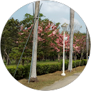 tin Z profile picture