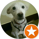 Allen Yeh profile picture