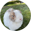 王韻雯 profile picture