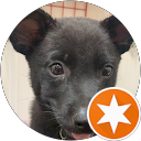 Lai Jed profile picture